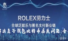 如何解决麦子钱包比特币