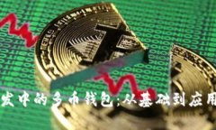 区块链开发中的多币钱包