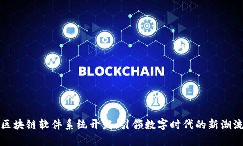 区块链软件系统开发：引领数字时代的新潮流