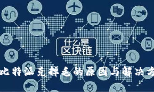 丘比特派克掉毛的原因与解决方案