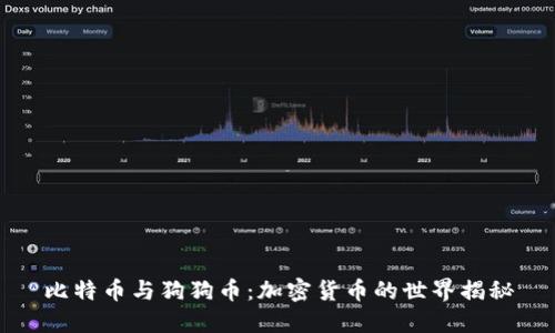 比特币与狗狗币：加密货币的世界揭秘