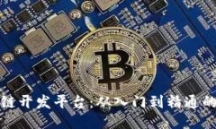 探索区块链开发平台：从