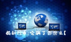 揭秘Pi币：它骗了你什么？