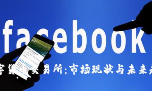 国内数字货币交易所：市场现状与未来趋势分析