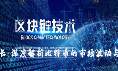 比特派波长：深度解析比特币的市场波动与投资策略