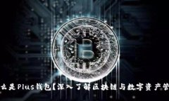什么是Plus钱包？深入了解