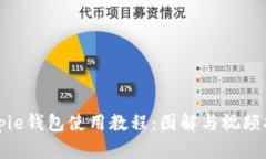 Bitpie钱包使用教程：图解