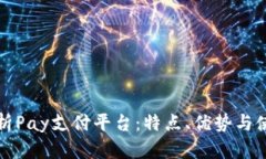 全面解析Pay支付平台：特
