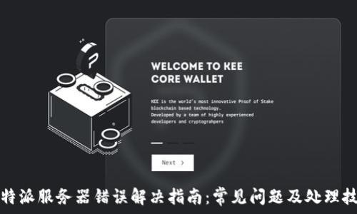   
比特派服务器错误解决指南：常见问题及处理技巧