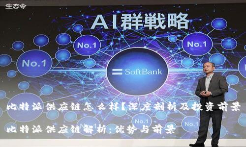 比特派供应链怎么样？深度剖析及投资前景

比特派供应链解析：优势与前景