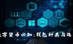 存储数字货币必知：钱包