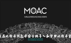如何在比特币钱包中安全
