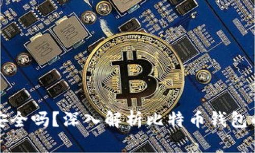 实体比特币钱包安全吗？深入解析比特币钱包的安全性与可靠性