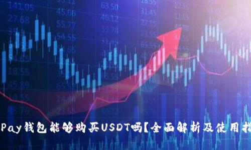 OkPay钱包能够购买USDT吗？全面解析及使用指南