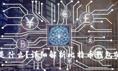 比特币钱包是什么？详细解析比特币钱包的种类与特点