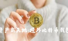 迈向数字资产新天地：境