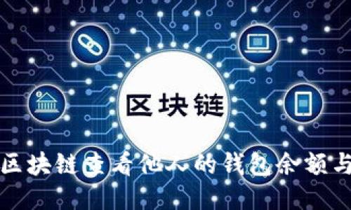 如何通过区块链查看他人的钱包余额与交易记录