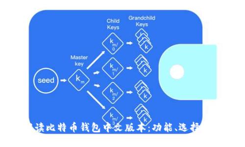 全面解读比特币钱包中文版本：功能、选择与安全性