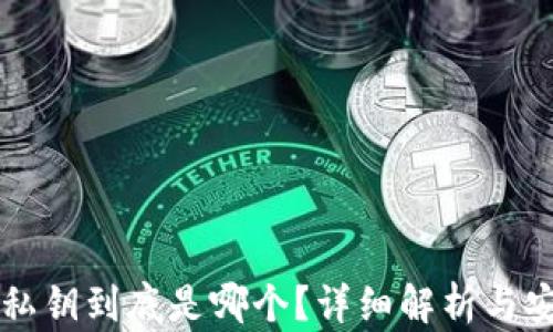 
比特派私钥到底是哪个？详细解析与安全指南
