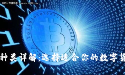 比特币钱包种类详解：选择适合你的数字货币存储方式