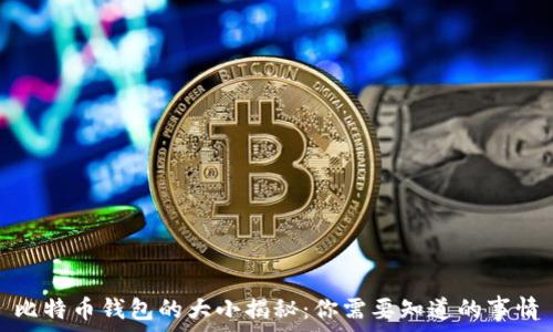   
比特币钱包的大小揭秘：你需要知道的事情