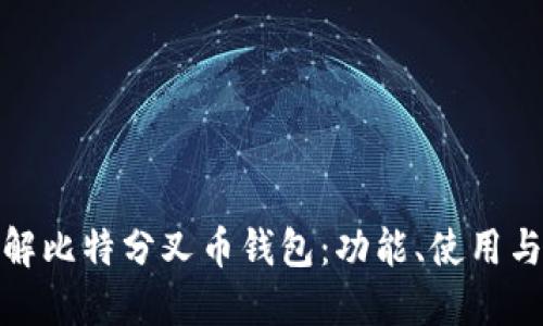 全面了解比特分叉币钱包：功能、使用与安全性