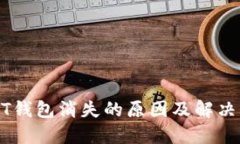 USDT钱包消失的原因及解决