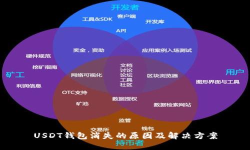 USDT钱包消失的原因及解决方案