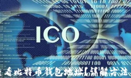 
如何查看比特币钱包地址？详解方法与技巧