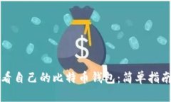 如何查看自己的比特币钱