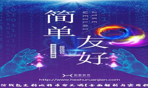   
币信钱包支持比特币分叉吗？全面解析与实用指南
