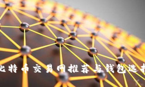 最佳比特币交易网推荐与钱包选择指南