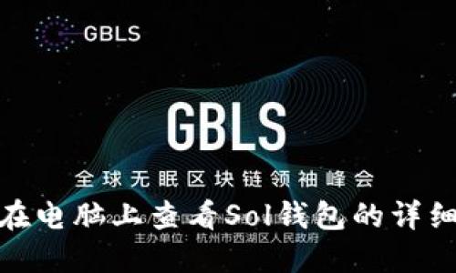 如何在电脑上查看Sol钱包的详细步骤