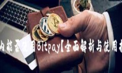 国内能否使用Bitpay？全面