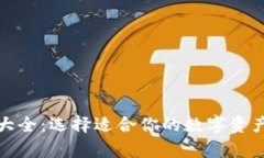 数字货币钱包大全：选择