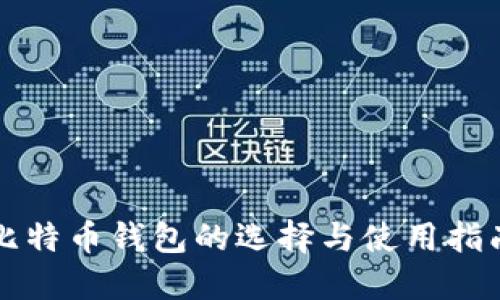 比特币钱包的选择与使用指南