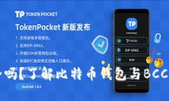 比特派安全吗？了解比特