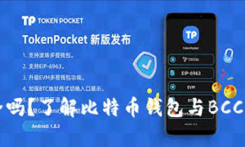 比特派安全吗？了解比特币钱包与BCC的存储问题