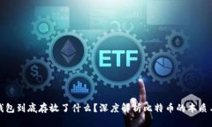 比特币钱包到底存放了什