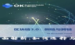 虚拟币主钱包的全面解析