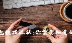比特币钱包数据现状：你