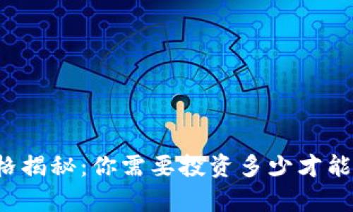 区块链钱包的价格揭秘：你需要投资多少才能拥有安全的钱包？