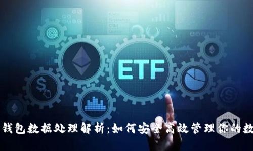 比特币钱包数据处理解析：如何安全高效管理你的数字资产