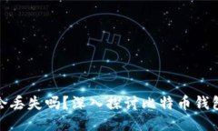比特币钱包的钱会丢失吗