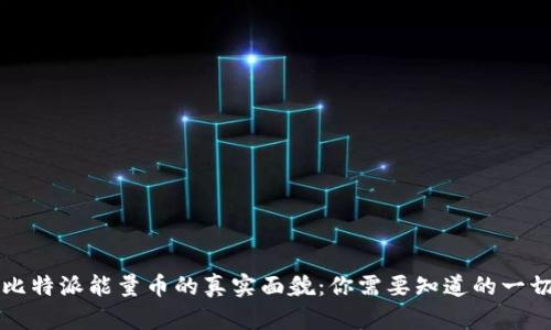 比特派能量币的真实面貌：你需要知道的一切