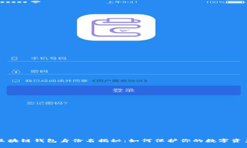 区块链钱包身份名揭秘：如何保护你的数字资产