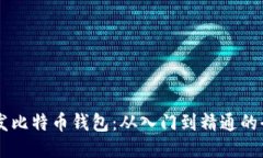 Java开发比特币钱包：从入