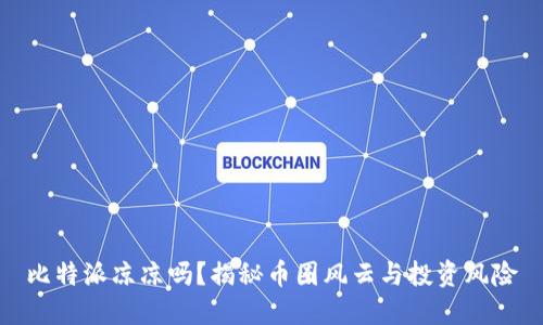 比特派凉凉吗？揭秘币圈风云与投资风险