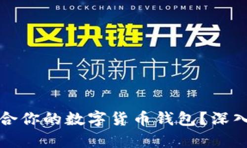 如何选择适合你的数字货币钱包？深入解析与推荐