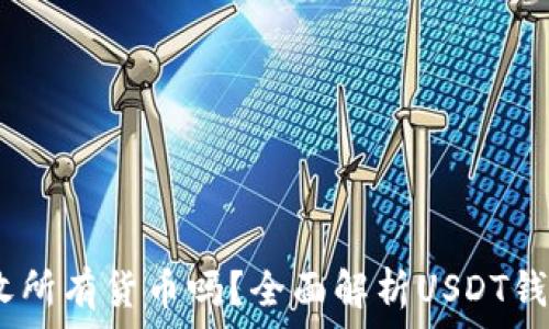   
USDT钱包能接收所有货币吗？全面解析USDT钱包的功能与使用